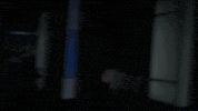 Kentuckywildcats GIF by UK Athletics