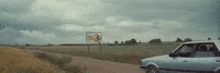 big cat GIF by Domino Recording Co.