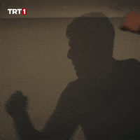 Muay Thai Workout GIF by TRT