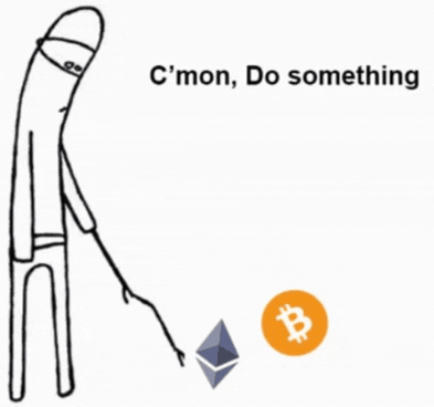 ofekregev giphygifmaker giphygifmakermobile crypto btc GIF