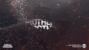 #animalkingdomtnt #brothers GIF by Animal Kingdom on TNT