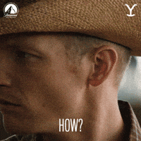 GIF by Yellowstone