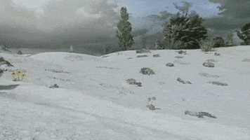 On My Way Hello GIF by Teletubbies