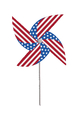 United States Party Sticker