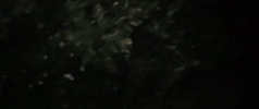 sony GIF by Slender Man Movie