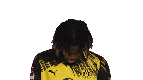 Borussia Dortmund Chukwuemeka Sticker by Bundesliga