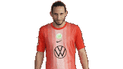 Three Points Win Sticker by VfL Wolfsburg