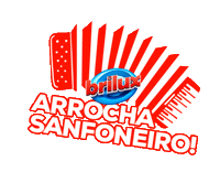 Festa Junina Arrocha Sticker by Brilux