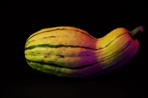 Fierce Squash