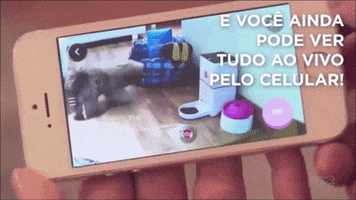 camera GIF by PlayPet