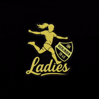 Djkladies GIF by Djk vierlinden