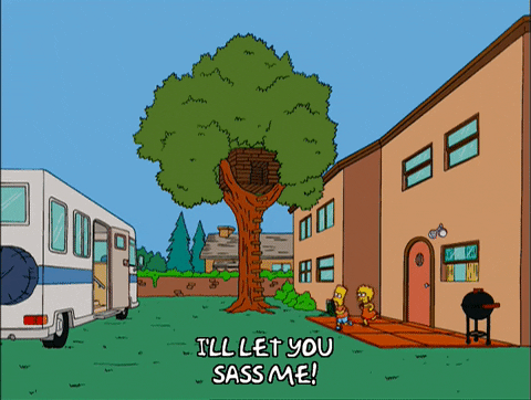 bart simpson episode 13 GIF