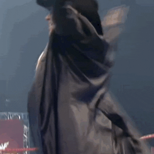Turn Around Entrance GIF by Trish Stratus