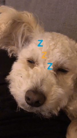 Vavra Dumbogeorge GIF