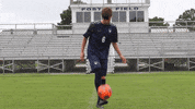 Wethebeach Virginiawesleyan GIF by VWU Marlins