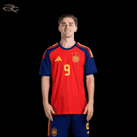 Fifa World Cup Spain GIF by Respective