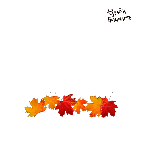 Tree Thanksgiving Sticker by España Fascinante