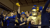 Excited Gold GIF by Trinity Western University