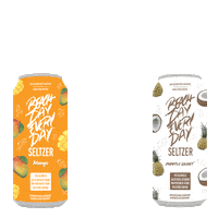 Cheers Seltzer Sticker by Beach Day Every Day