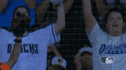 Major League Baseball Sport GIF by MLB