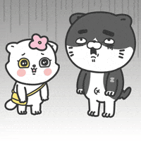 Sad Cat GIF