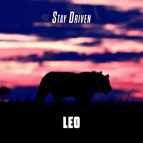 Stay Driven Leo