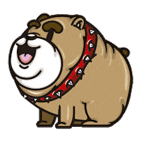 Dog Bulldog Sticker