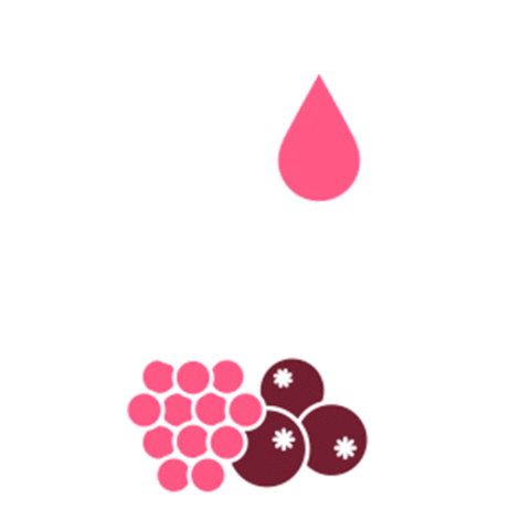 Renew Hyaluronic Acid Sticker by Jeuneora