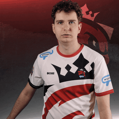 Are You Crazy No GIF by Austrian Force eSports