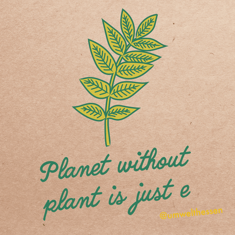 Plant GIF by umwelthessen