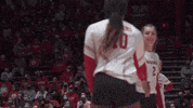Wisconsin Volleyball GIF by Wisconsin Badgers