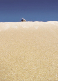 mood animal reaction GIF