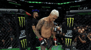 Mixed Martial Arts Fighting GIF by UFC