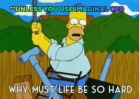 Angry Simpsons GIF by Imaginal Biotech