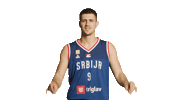 Vanjamarinkovic Sticker by sportmts