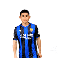 Football Soccer Sticker by Incheon United FC
