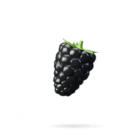 lefler 3d c4d render cgi GIF