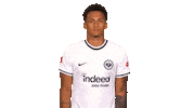 Shrugging Eintracht Frankfurt Sticker by Bundesliga