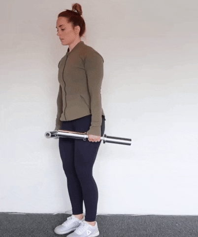 megsquats giphyupload GIF
