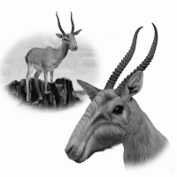 excited black and white GIF by Colin Raff