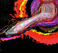 the internet wtf GIF by LetsGlitchIt