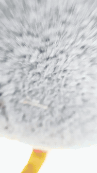 Boss Figure GIF by Youtooz