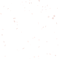 Confetti Bride Sticker by The White Flower Bridal Boutique