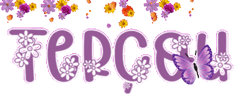 Tercou Sticker