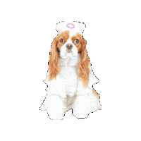 Dogs Hello Sticker