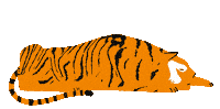 Tiger Oslo Sticker by Tigerstadsteatret