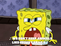 season 8 episode 10 GIF by SpongeBob SquarePants