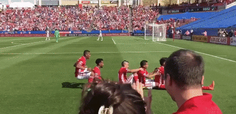 fc GIF