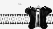 viceland GIF by Hamilton's Pharmacopeia