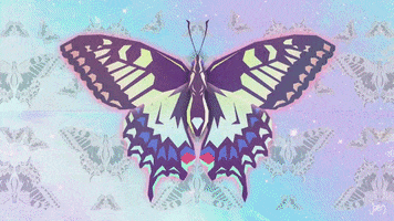 Good Vibes Rainbow GIF by Jæn